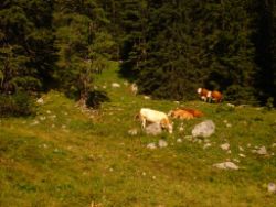 2013-08-18_Regina-F-Rau_Schachenhaus (023).JPG